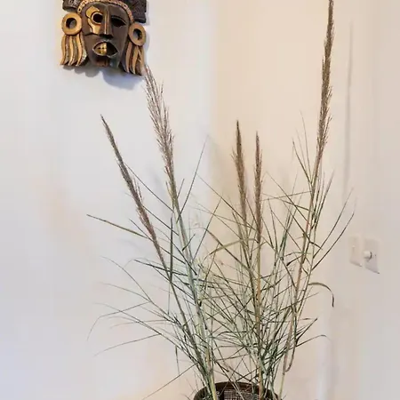 Rooftop Heated Jacuzzi, Fireplace, A Unique Home! * Żebbuġ