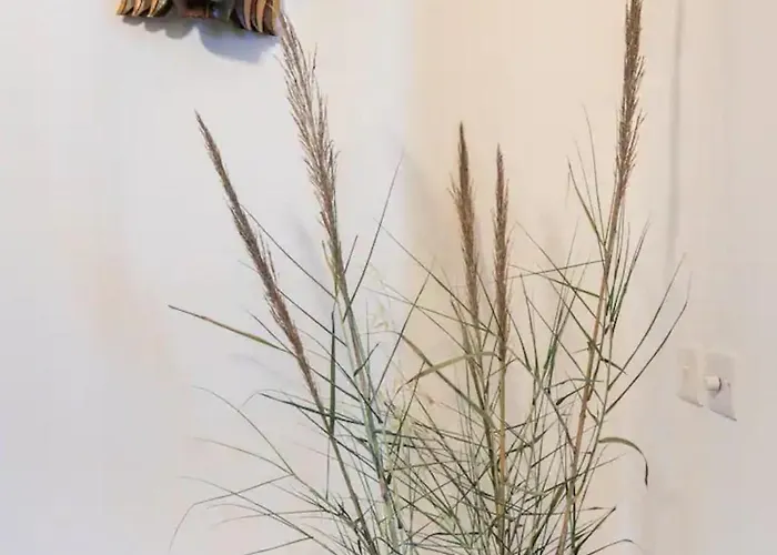 Rooftop Heated Jacuzzi, Fireplace, A Unique Home! * Żebbuġ